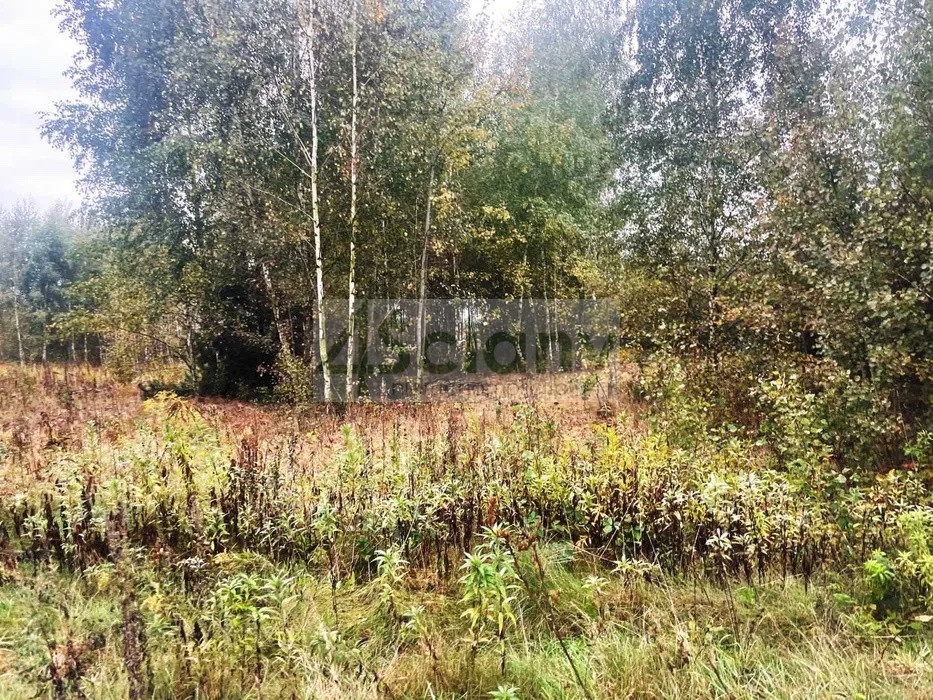 Działka Sprzedaż Barcice Drwalewskie