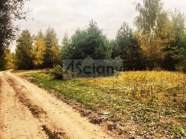 Działka Sprzedaż Barcice Drwalewskie