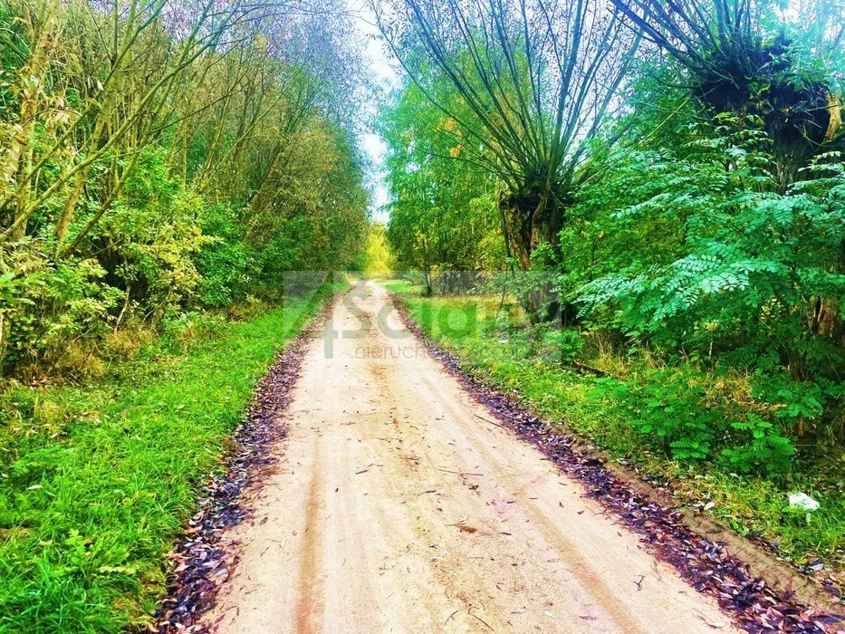 Działka Sprzedaż Barcice Drwalewskie