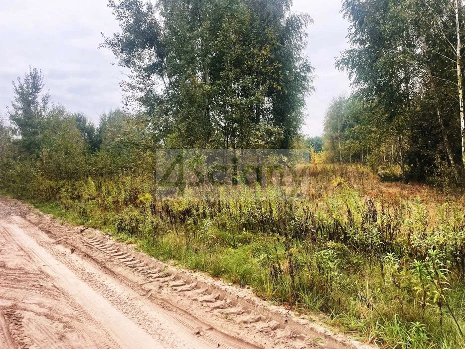 Działka Sprzedaż Barcice Drwalewskie