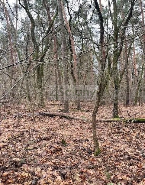 Działka Sprzedaż Książenice