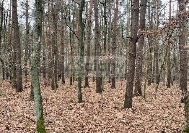 Działka Sprzedaż Książenice