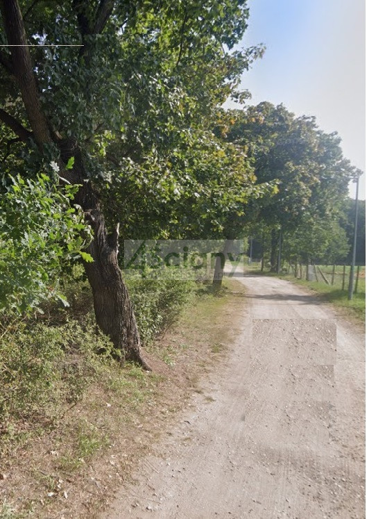 Działka Sprzedaż Rajszew