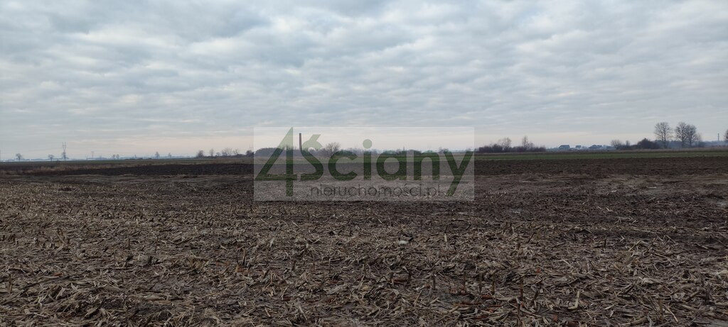 Działka Sprzedaż Zaborówek
