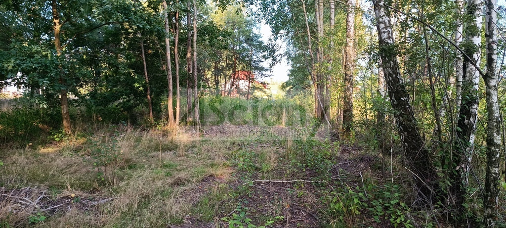 Działka Sprzedaż Czarny Las