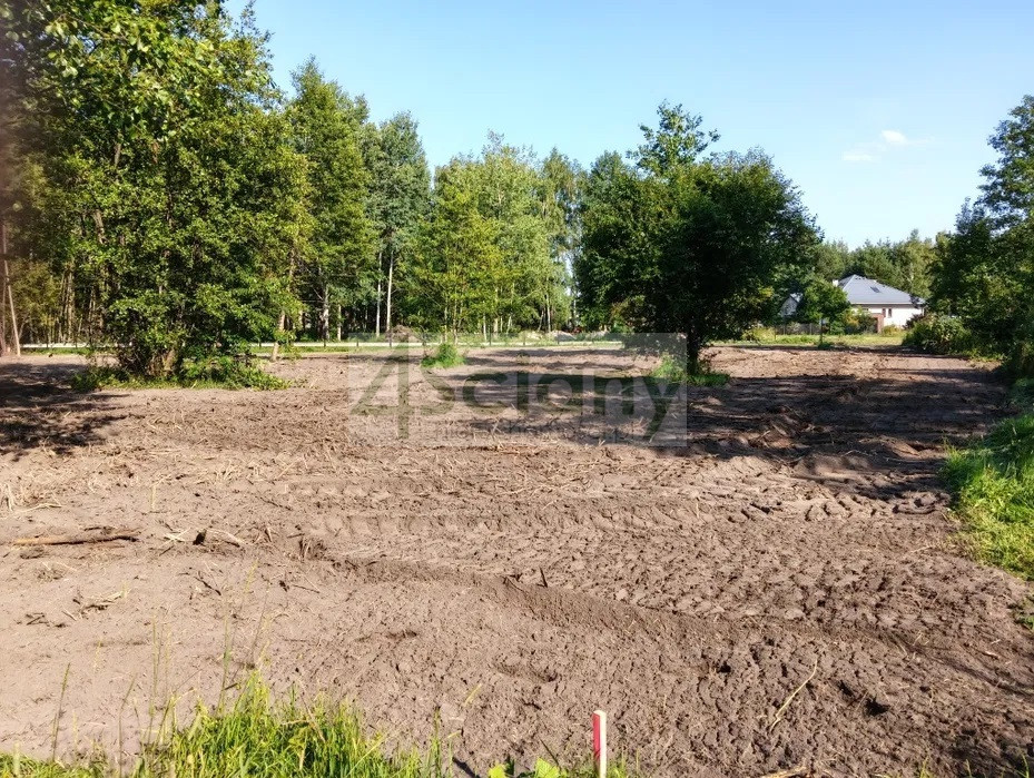 Działka Sprzedaż Radonie