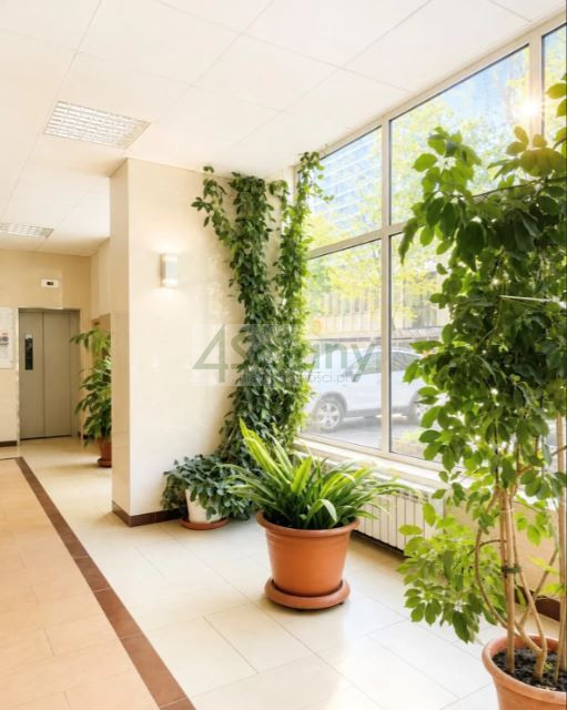 Mieszkanie Sprzedaż  Wola Grzybowska