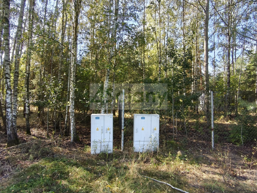 Działka Sprzedaż Zaręby