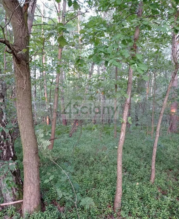 Działka Sprzedaż Mościska