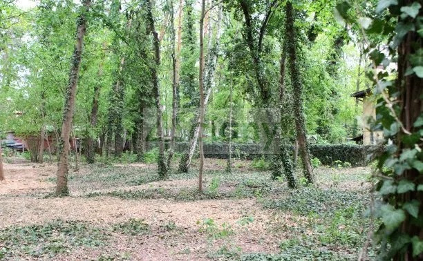 Działka Sprzedaż Podkowa Leśna