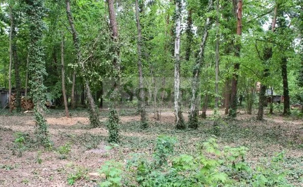 Działka Sprzedaż Podkowa Leśna