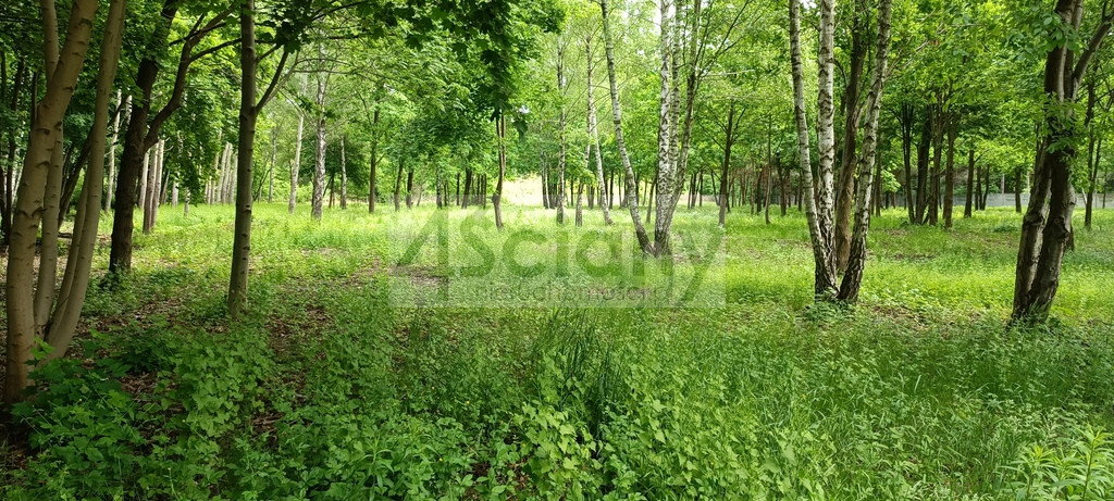 Działka Sprzedaż Grodzisk Mazowiecki