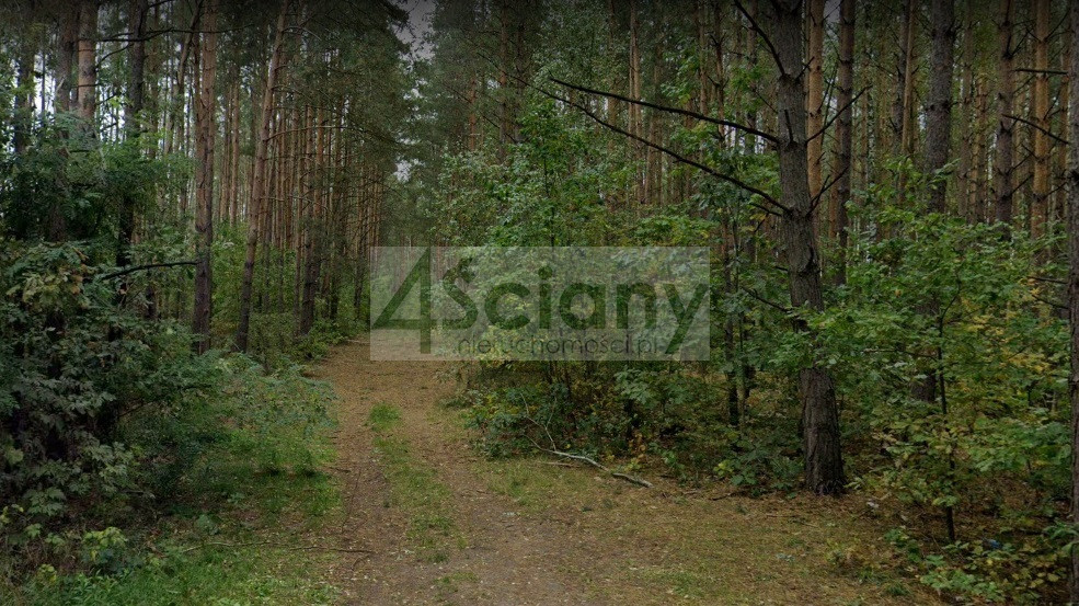 Działka Sprzedaż Ojrzanów