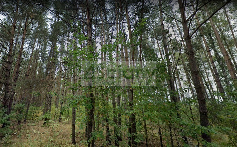 Działka Sprzedaż Ojrzanów