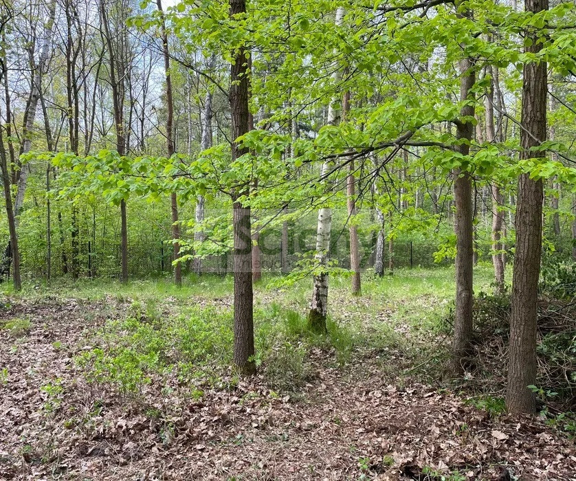Działka Sprzedaż Podkowa Leśna