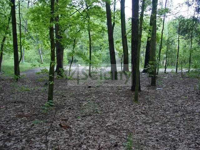 Działka Sprzedaż Marynin