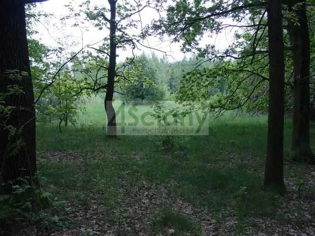Działka Sprzedaż Marynin