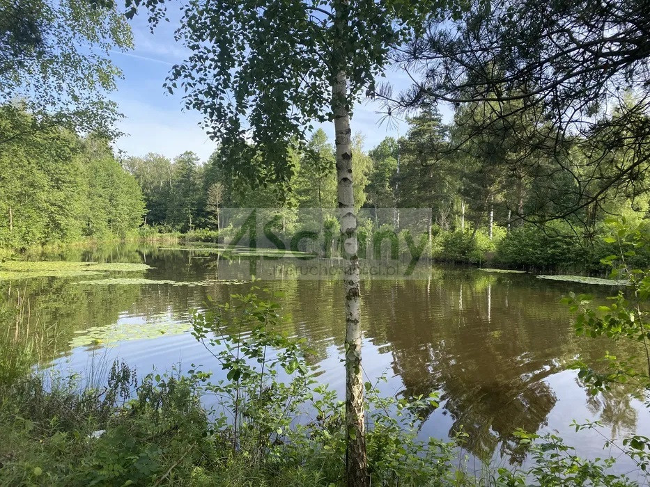 Działka Sprzedaż Janinów