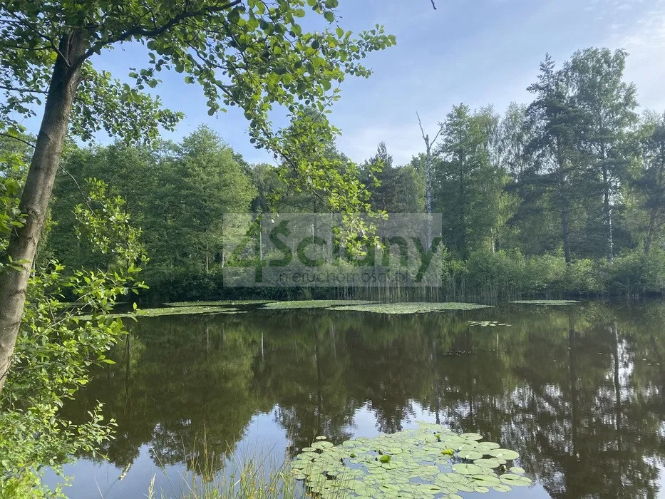 Działka Sprzedaż Janinów