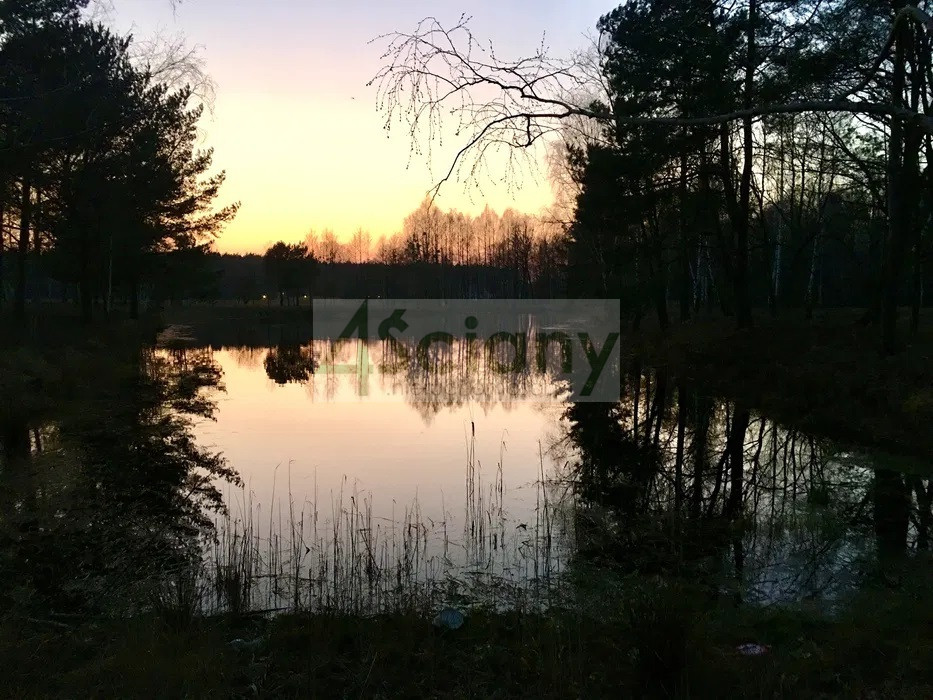 Działka Sprzedaż Janinów