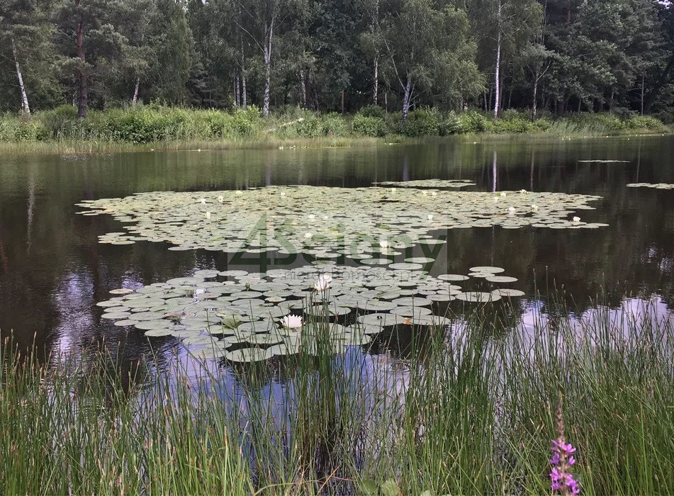 Działka Sprzedaż Janinów