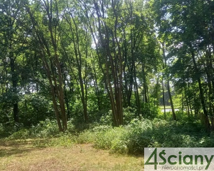 Działka Sprzedaż Podkowa Leśna