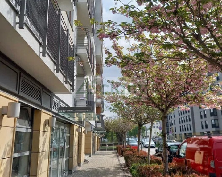 Lokal Wynajem Warszawa Wola