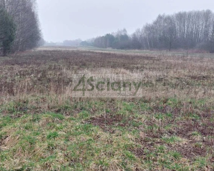 Działka Sprzedaż Turowice