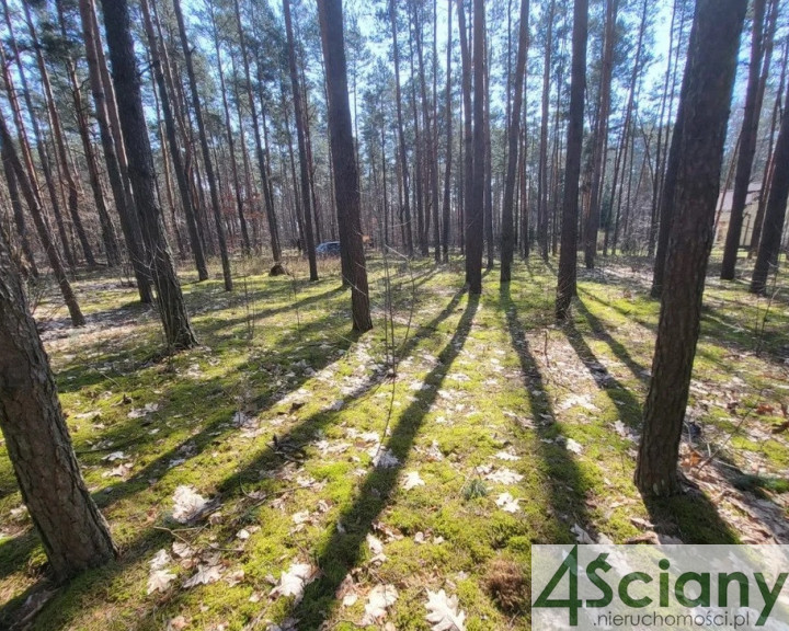 Działka Sprzedaż Siestrzeń