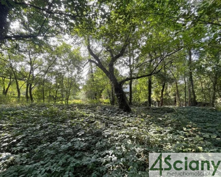 Działka Sprzedaż Podkowa Leśna