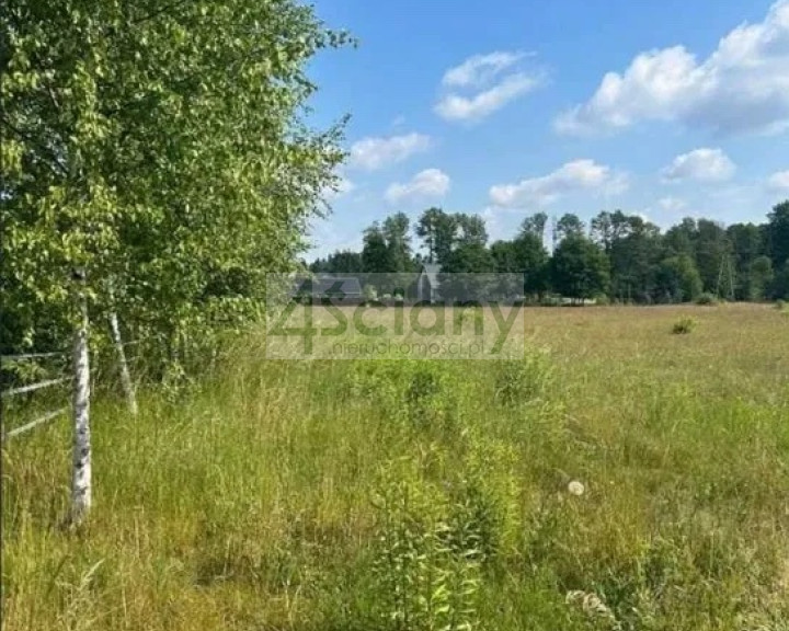 Działka Sprzedaż Budziska