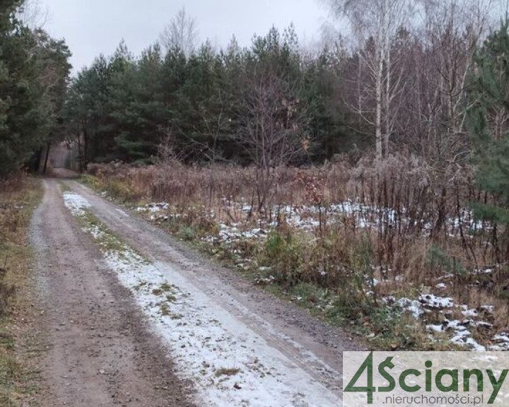 Działka Sprzedaż Nowy Prażmów