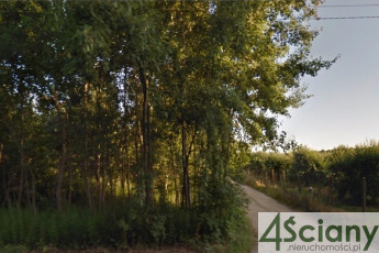 Działka Sprzedaż Prace Duże
