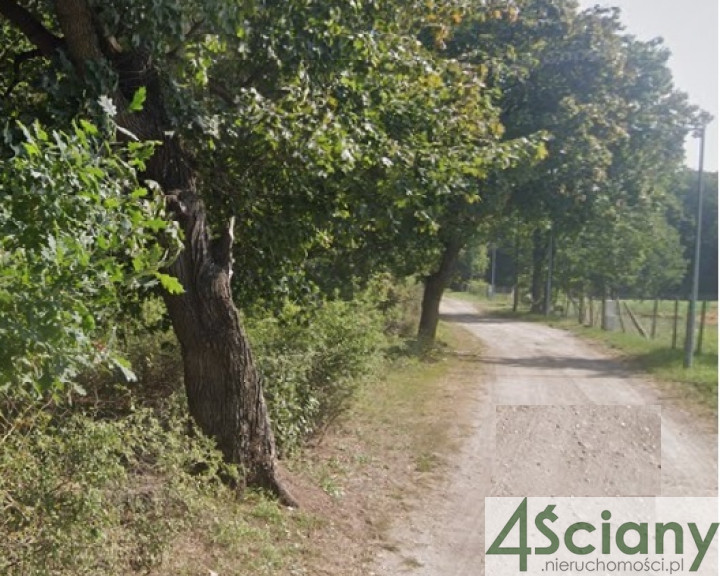 Działka Sprzedaż Rajszew