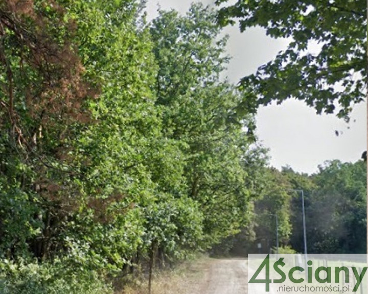 Działka Sprzedaż Rajszew