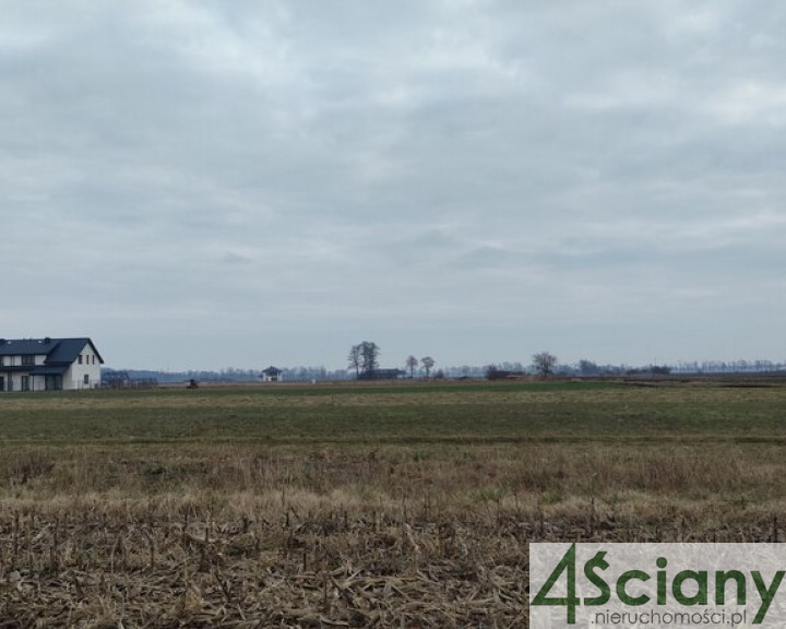 Działka Sprzedaż Zaborówek