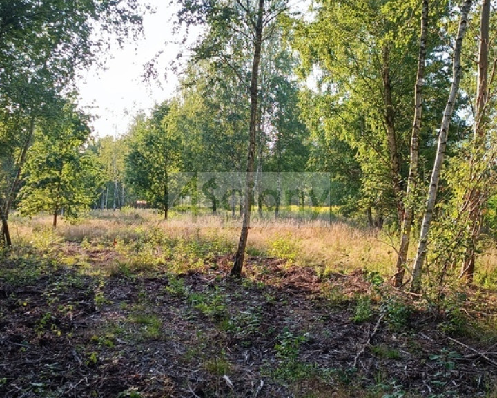 Działka Sprzedaż Czarny Las