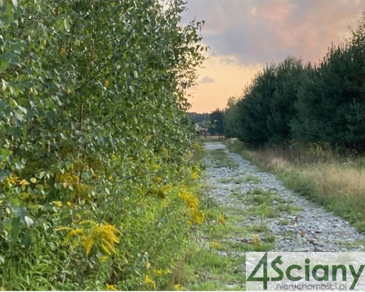 Działka Sprzedaż Siestrzeń