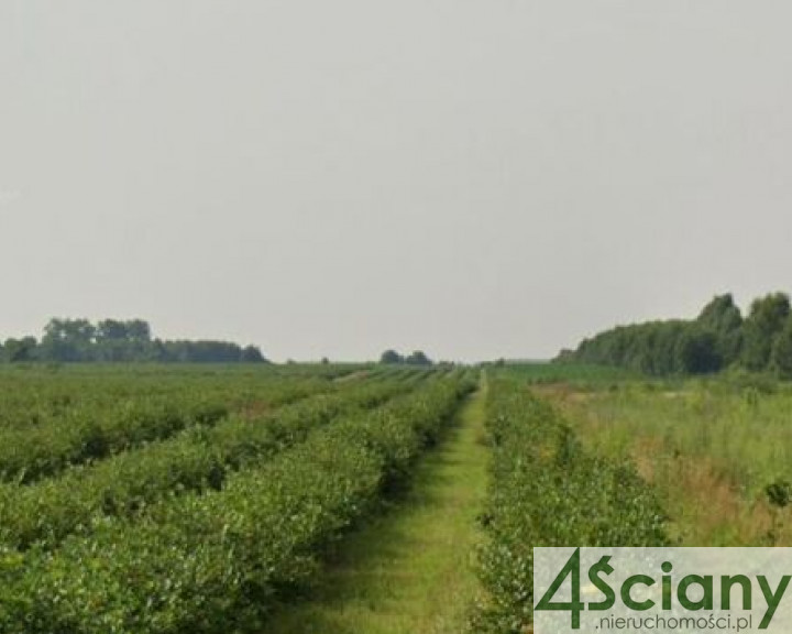 Działka Sprzedaż Stary Łajszczew