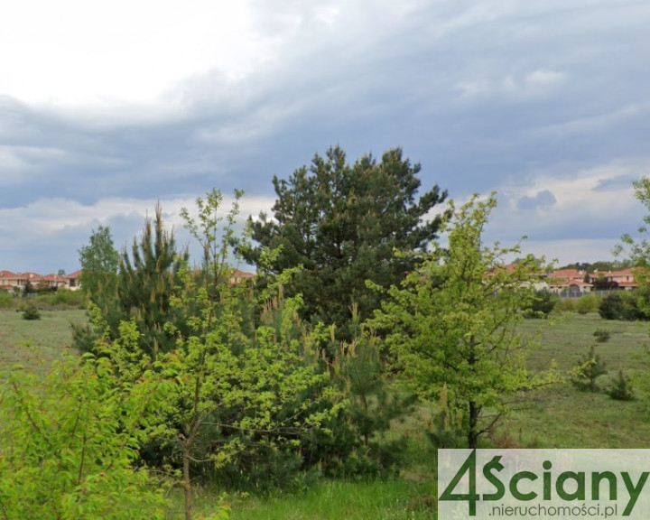 Działka Sprzedaż Walendów