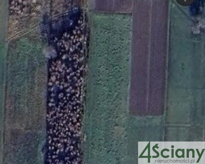 Działka Sprzedaż Nowy Kraszew
