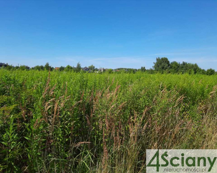 Działka Sprzedaż Michałowice-Wieś