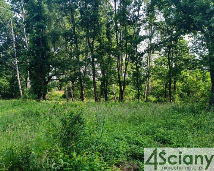 Działka Sprzedaż Grodzisk Mazowiecki
