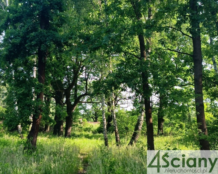 Działka Sprzedaż Grodzisk Mazowiecki
