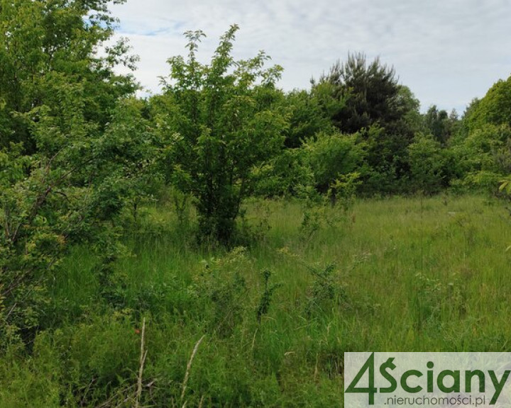 Działka Sprzedaż Rusiec