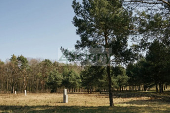 Działka Sprzedaż Rajszew