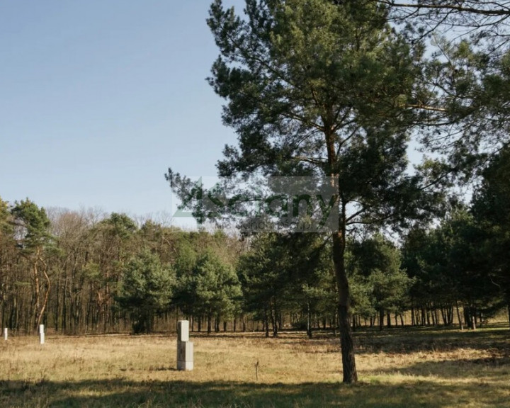 Działka Sprzedaż Rajszew