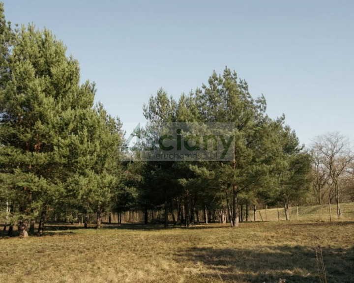 Działka Sprzedaż Rajszew