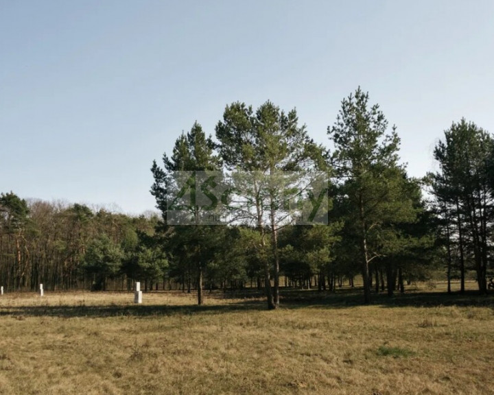 Działka Sprzedaż Rajszew