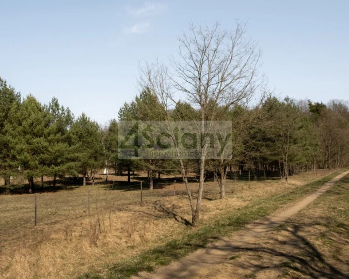 Działka Sprzedaż Rajszew